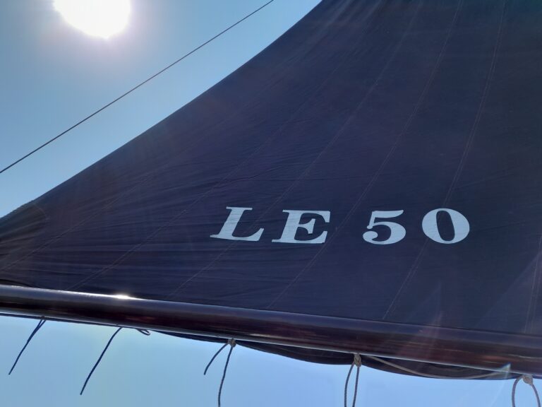 Vaartocht met LE 50 — natuur in Lemmer